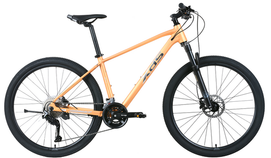 XDS 逐日700 油壓碟刹內走線18速山地車 / XDS Sundance700 18-SPEED Mountain Bike