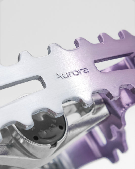 MKS Aurora 腳踏