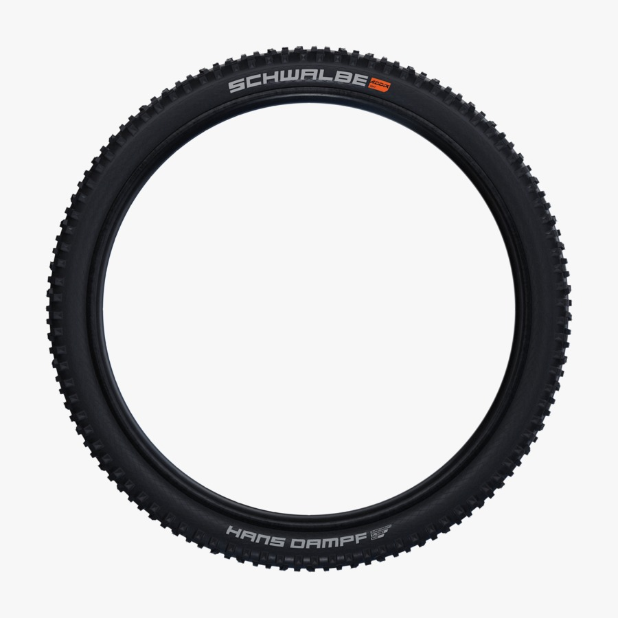 Schwalbe Hans Dampf 真空可摺外呔/ Schwalbe Hans Dampf Tubeless Tire