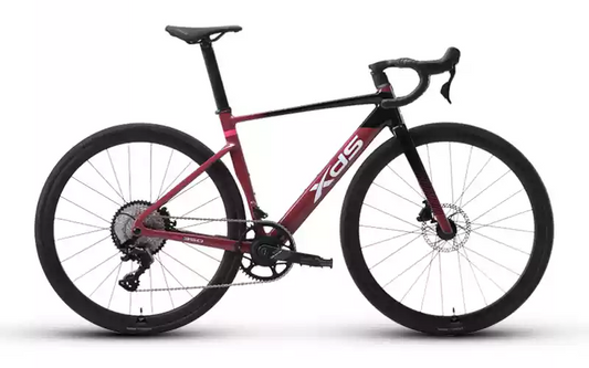 XDS AD350 油壓碟刹內走線12速公路車 / XDS AD350 12 SPEED ROAD BIKE
