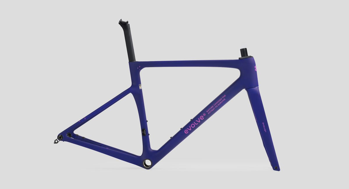 evolve 車架連車把套裝 / evolve Frame Set