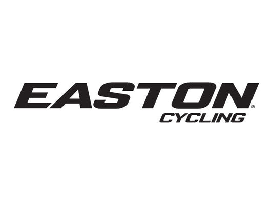 EASTON SS SP 2.0/1.7 SPOKE-BK-298MM