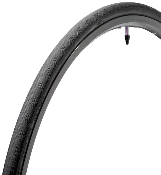 Panaracer Catalyst Sport Folding Tire/ Panaracer Catalyst Sport Folding Tire